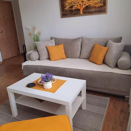 Bankovic Apartman Vrnjacka Banja Bagian luar foto