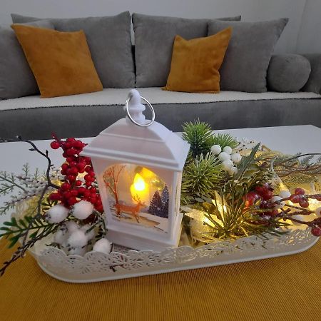 Bankovic Apartman Vrnjacka Banja Bagian luar foto