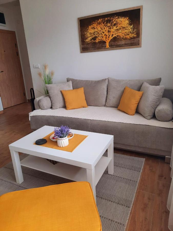 Bankovic Apartman Vrnjacka Banja Bagian luar foto