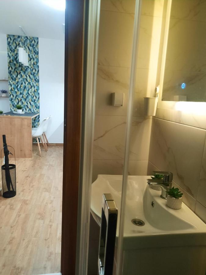 Bankovic Apartman Vrnjacka Banja Bagian luar foto