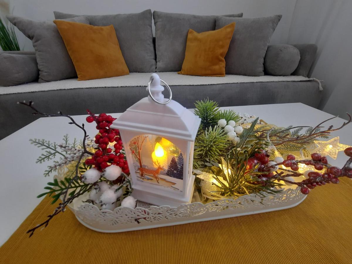 Bankovic Apartman Vrnjacka Banja Bagian luar foto